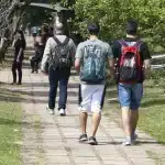 taxa de evasão em universidades federais