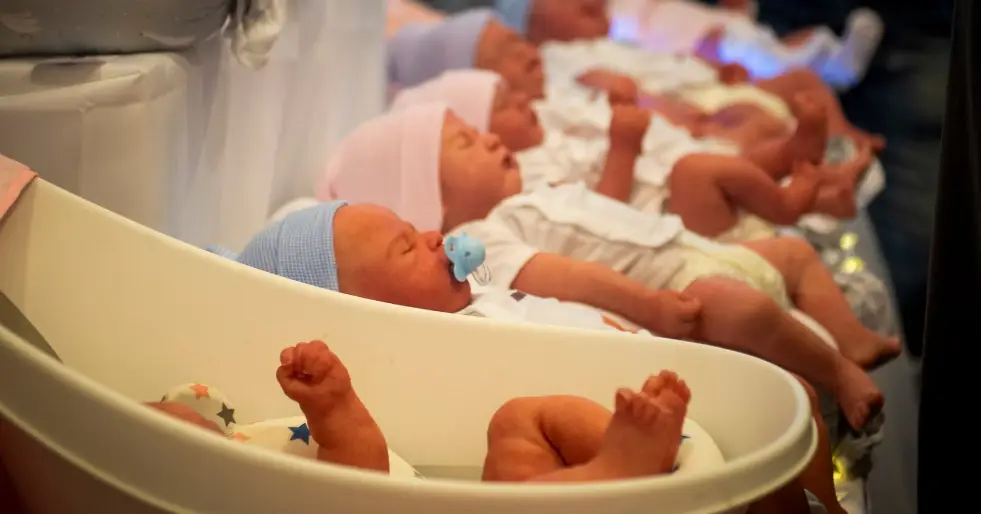 bebês reborn