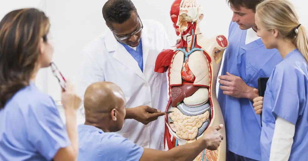 Processo seletivo via Enem