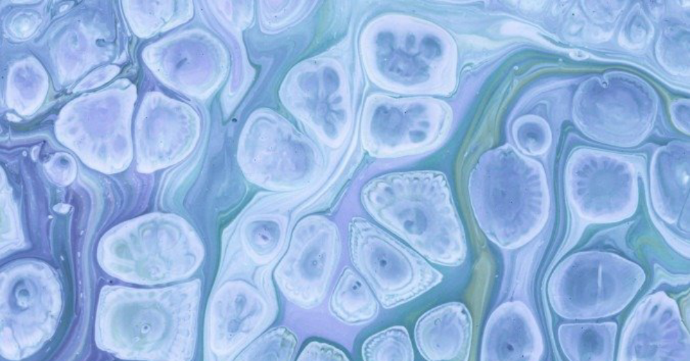 Estudo brasileiro indica que transplante de medula com doador parcialmente compatível é alternativa segura