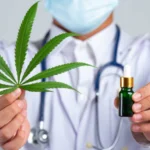 Cannabis medicinal: para que serve, quem pode usar e o que dizem as evidências científicas
