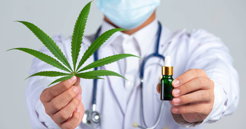 Cannabis medicinal: para que serve, quem pode usar e o que dizem as evidências científicas