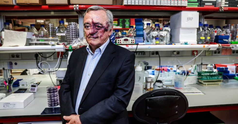 Terapia experimental liderada por Mariano Barbacid elimina tumores de câncer de pâncreas