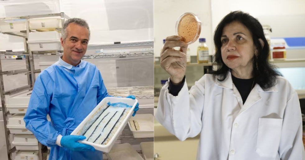 Pesquisadores brasileiros Luciano Moreira e Mariângela Hungria, eleitos pela revista Time entre as 100 pessoas mais influentes do mundo em 2026