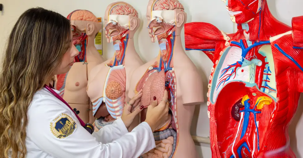 Asces-Unita fortalece formação humanizada desde o início da graduação em Medicina