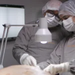 Financiamento estudantil na Medicina