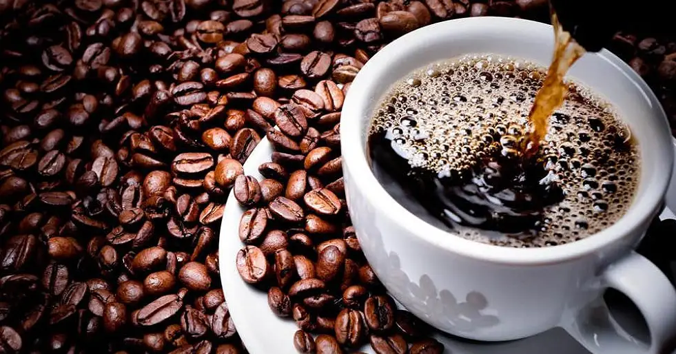 café doenças cardiovasculares