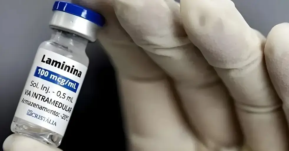 polilaminina fase 1