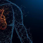 simulação de doenças cardiovasculares